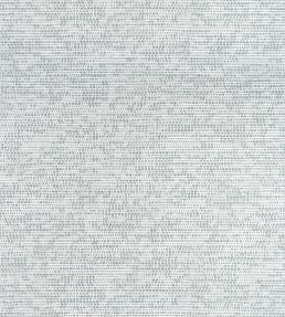 Borealis Fabric by Thibaut Glacier