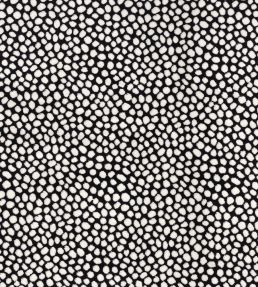 Borla Fabric by Camengo Carbone