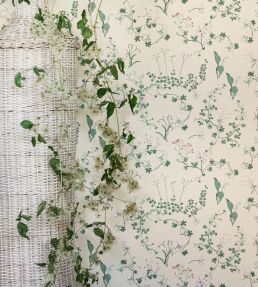 Botanica Wallpaper by Barneby Gates Ivory