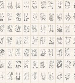 Botanica Mural by Sandberg Graphite