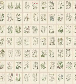 Botanica Mural by Sandberg Oat