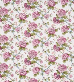 Bouquet Fabric by Prestigious Textiles Sweetpea