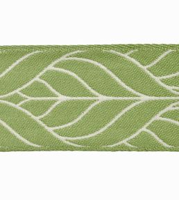 Brasilia Jacquard Braid 80mm Trimming by Houles Sauge
