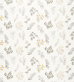 Brigitte Fabric by Clarke & Clarke Pewter/Chartreuse