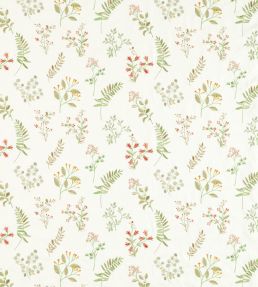 Brigitte Fabric by Clarke & Clarke Spice