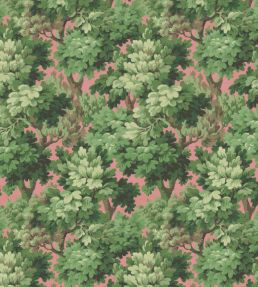 Broadhead Forest Wallpaper by Woodchip & Magnolia Grass Green/Salmon