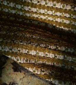 Broadway Fabric by Zinc Khaki
