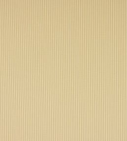 Brooke Stripe Fabric by Colefax and Fowler Beige