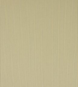 Brooke Stripe Fabric by Colefax and Fowler Blue
