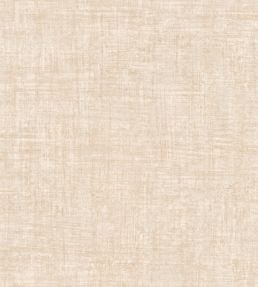 Brushed Suede Wallpaper by Arte Mushroom