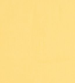 Brynn Fabric by Thibaut Daisy