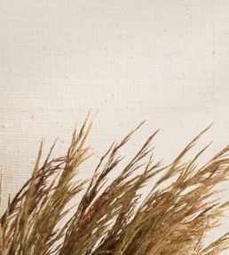 Burlap Wallpaper by Mark Alexander Whitewash