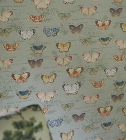 Butterfly Studies Wallpaper by Designers Guild Eau De Nil