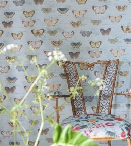 Butterfly Studies Wallpaper by Designers Guild Cloud Blue