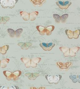 Butterfly Studies Wallpaper by Designers Guild Eau De Nil