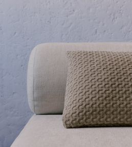 Buzz Fabric by Pepe Penalver Nude