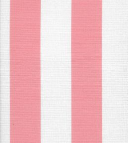 Cabana Stripe Fabric by Kate Medlicott Panther