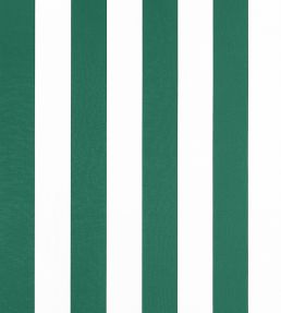 Cabana Stripe Fabric by Thibaut Forest
