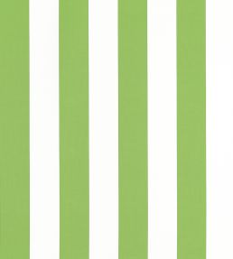 Cabana Stripe Fabric by Thibaut Kiwi