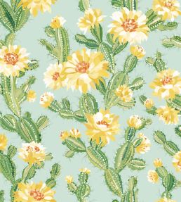 Cactus Bloom Wallpaper by Ohpopsi Sunshine