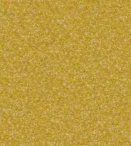 Cadenza Fabric by Designers Guild Amber