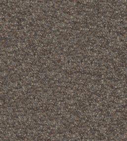 Cadenza Fabric by Designers Guild Cappuccino
