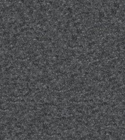 Cadenza Fabric by Designers Guild Graphite