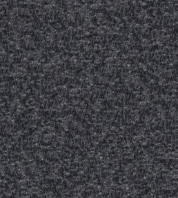 Cadenza Fabric by Designers Guild Midnight