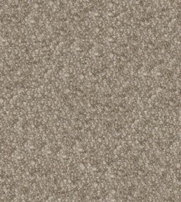 Cadenza Fabric by Designers Guild Mink