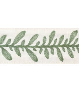 Calathea Tape Trimming by Thibaut Juniper