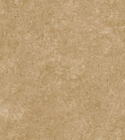 Calcaire Stucco Wallpaper by Arte Amber