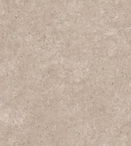 Calcaire Stucco Wallpaper by Arte Ash Rose