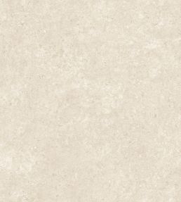 Calcaire Stucco Wallpaper by Arte Clay