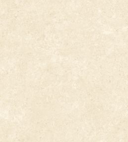 Calcaire Stucco Wallpaper by Arte Cream