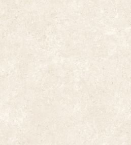 Calcaire Stucco Wallpaper by Arte Ivory