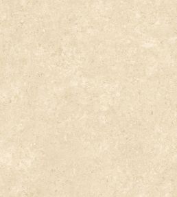 Calcaire Stucco Wallpaper by Arte Oat