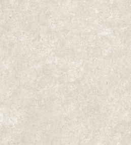 Calcaire Stucco Wallpaper by Arte Plaster