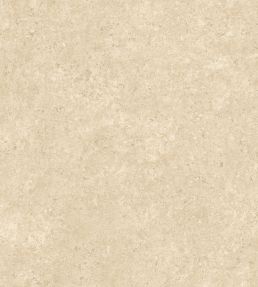 Calcaire Stucco Wallpaper by Arte Sand