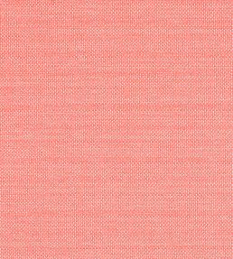 Cameron Fabric by Thibaut Coral