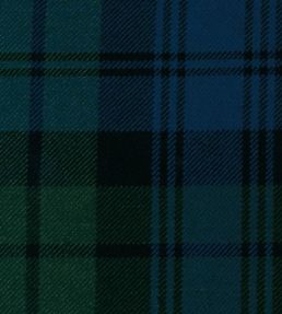 Campbell Ancient Mtd Fabric by The Isle Mill Blue/Green