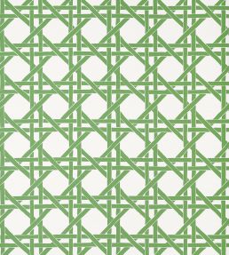 Canary Trellis Wallpaper by Thibaut Green