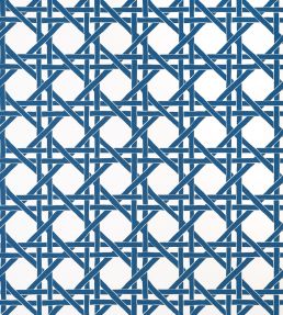 Canary Trellis Wallpaper by Thibaut Navy
