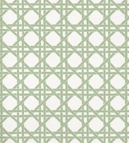 Canary Trellis Wallpaper by Thibaut Willow
