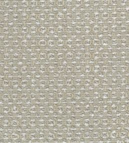 Canna Fabric by Osborne & Little Canvas