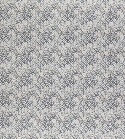 Canopy Fabric by Clarke & Clarke Mineral