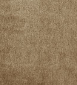 Cape Mohair Fabric by Warwick Papyrus
