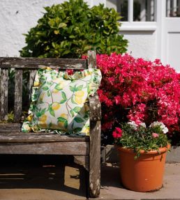 Capri Lemon Cushion 45 x 45cm by Barneby Gates Cream
