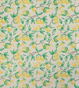 Capri Lemon Fabric by Barneby Gates Natural