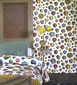 Captain Thomas Browns Shells Wallpaper by Designers Guild Sepia