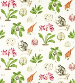 Capuchins Fabric by Sanderson Multi